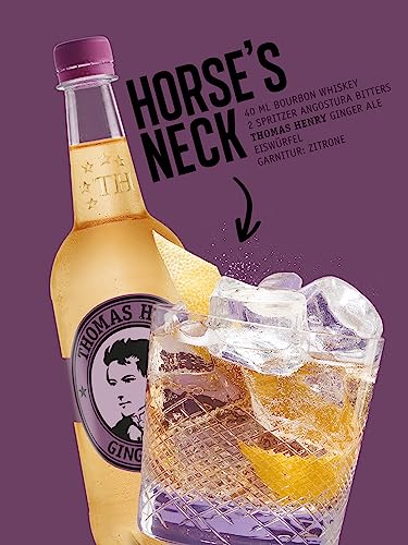 thomas-henry-ginger-ale-6-x-750-ml-pet image 7