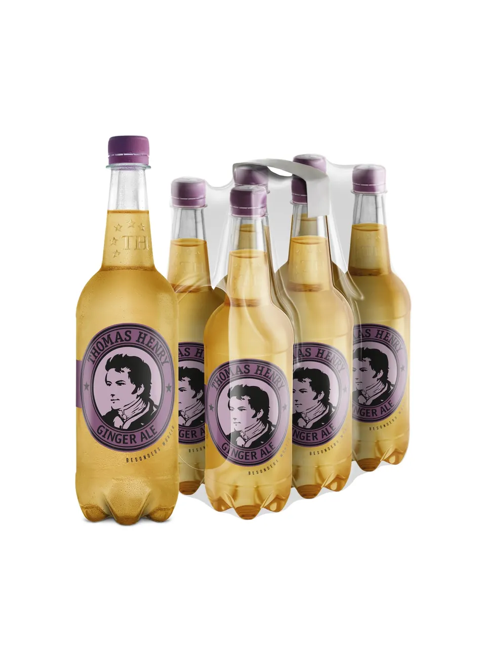 thomas-henry-ginger-ale-6-x-750-ml-pet image 1