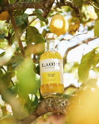 laori-amalfi-no-03-alkoholfreier-aperitif-f-r-lemon-spritz image 8