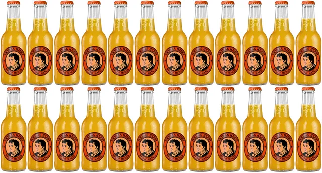 thomas-henry-mystic-mango-limonade-24-x-0-2-l-glas image 1